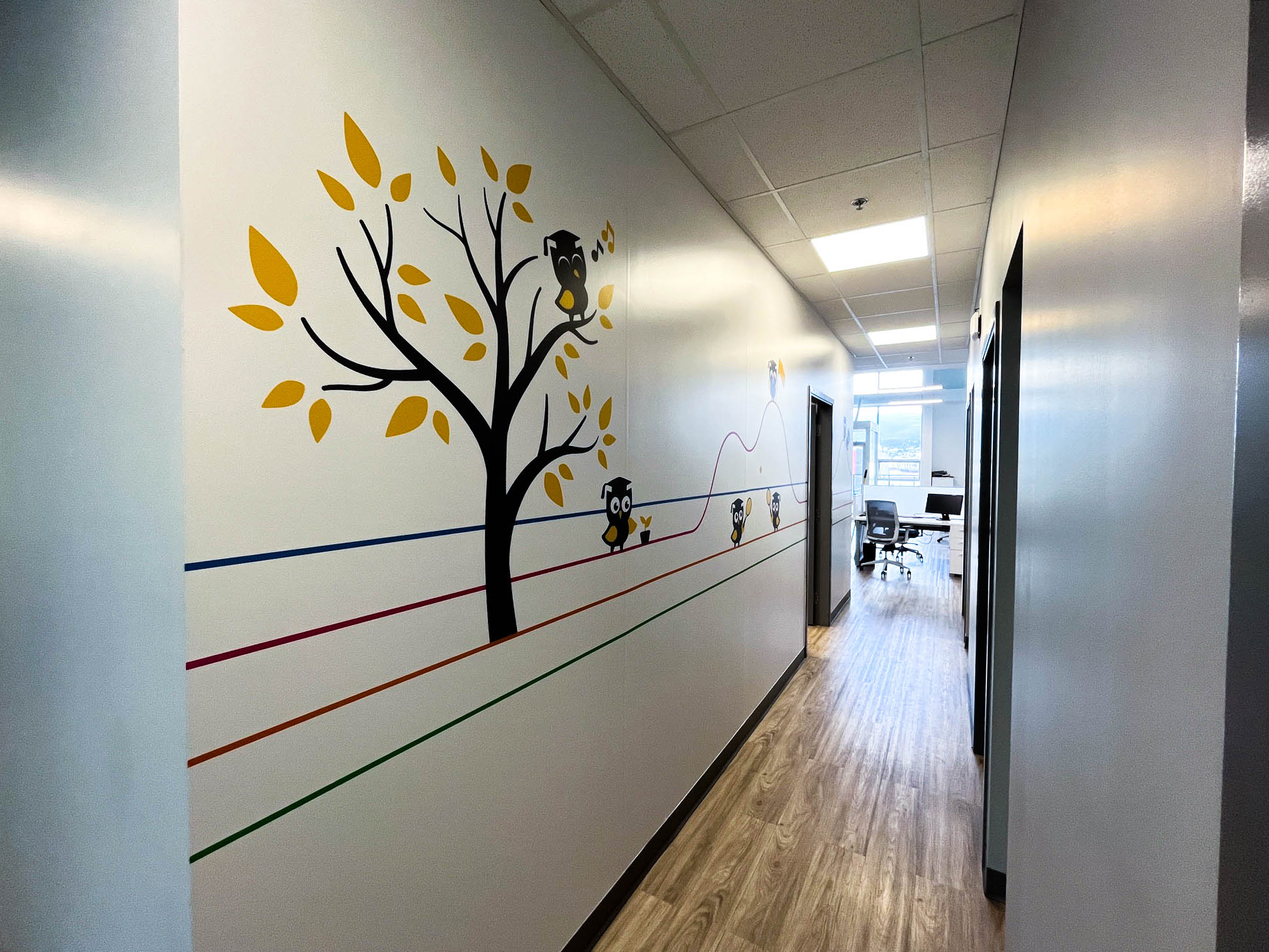 CEFA Head Office Refresh