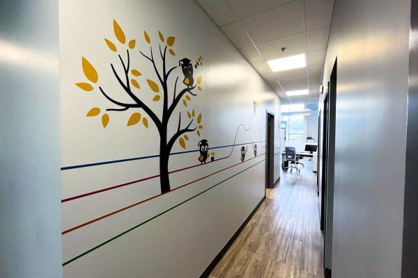 CEFA Head Office Refresh