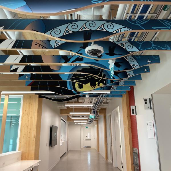 Centennial College Ceiling Baffle Film